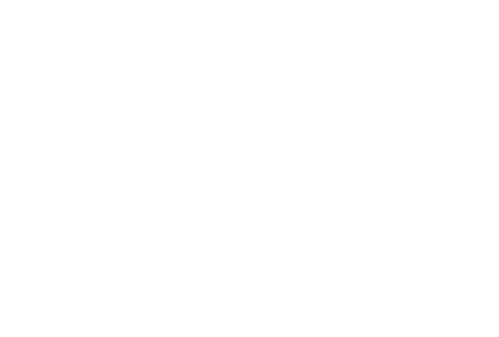 0xBet logo van Dallas Open